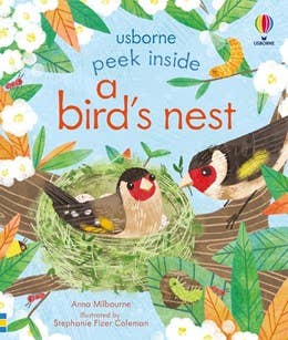 Peek Inside A Bird's Nest: Usborne