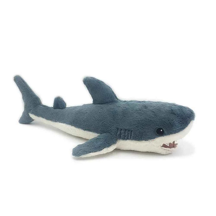 Seaborn Shark