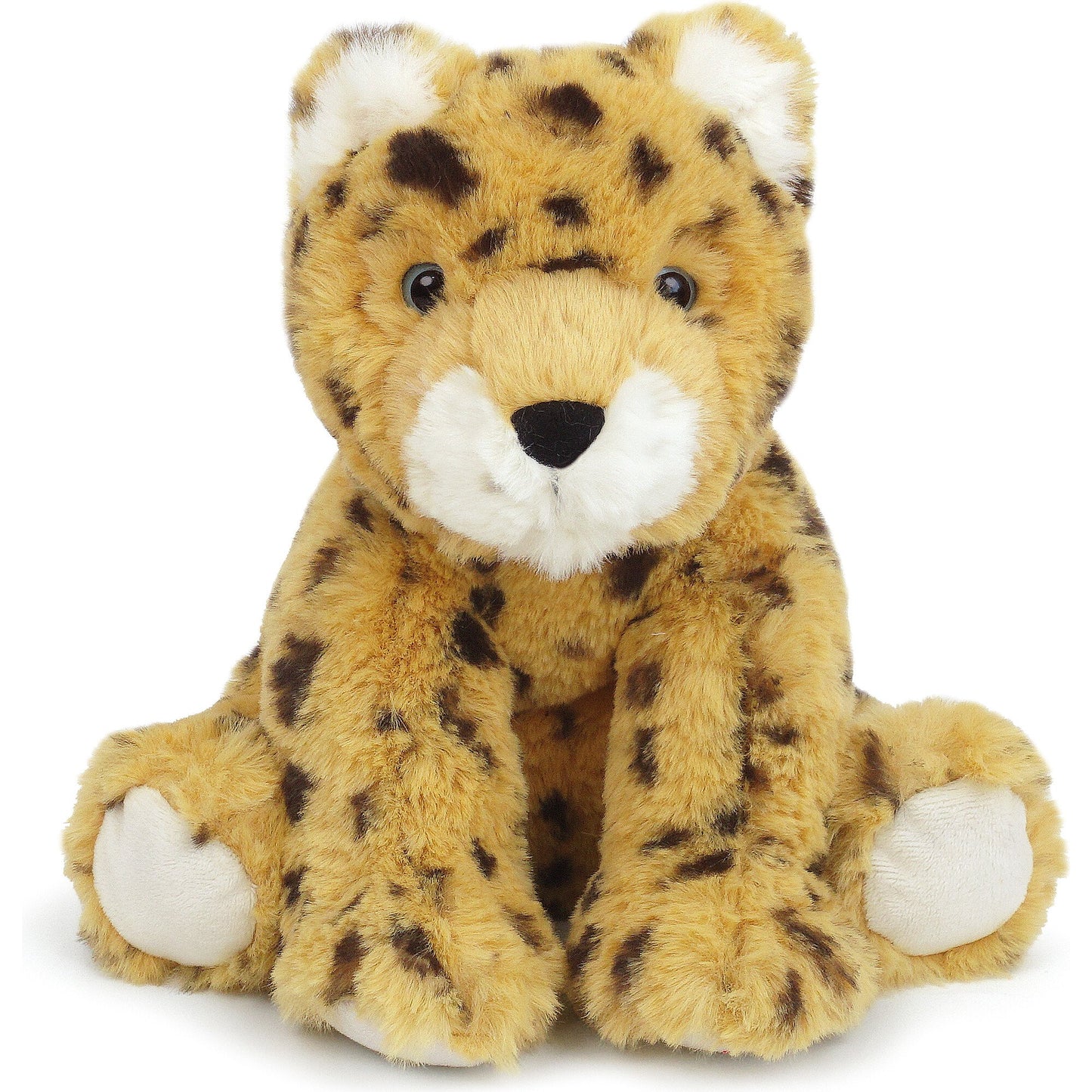 Chelsey Cheetah