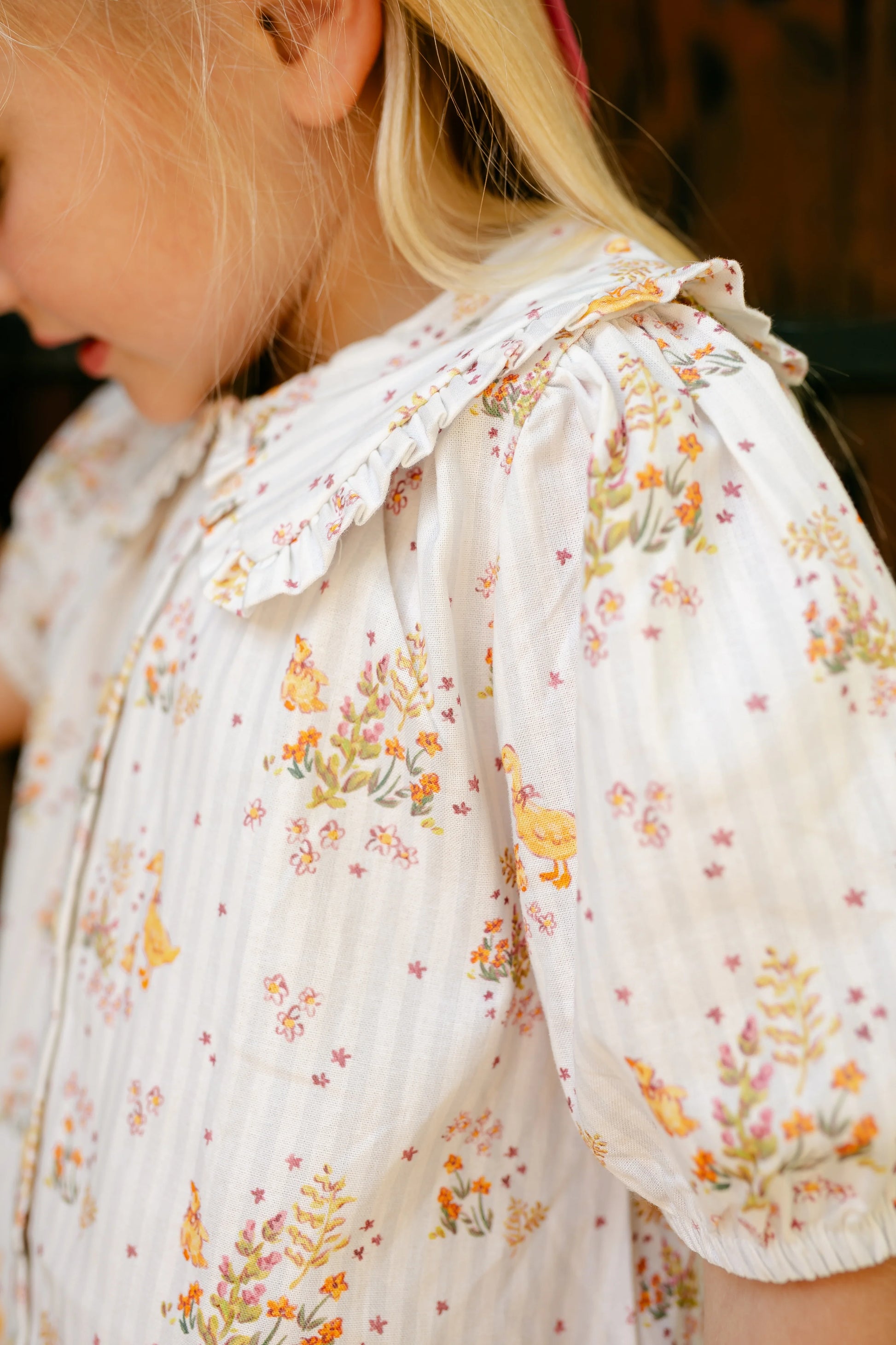 Pippa Dress- Duckling Garden