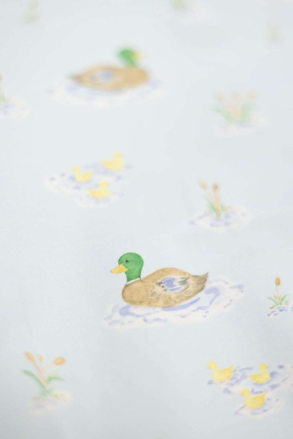 Bates Bubble- Ducks on the Pond