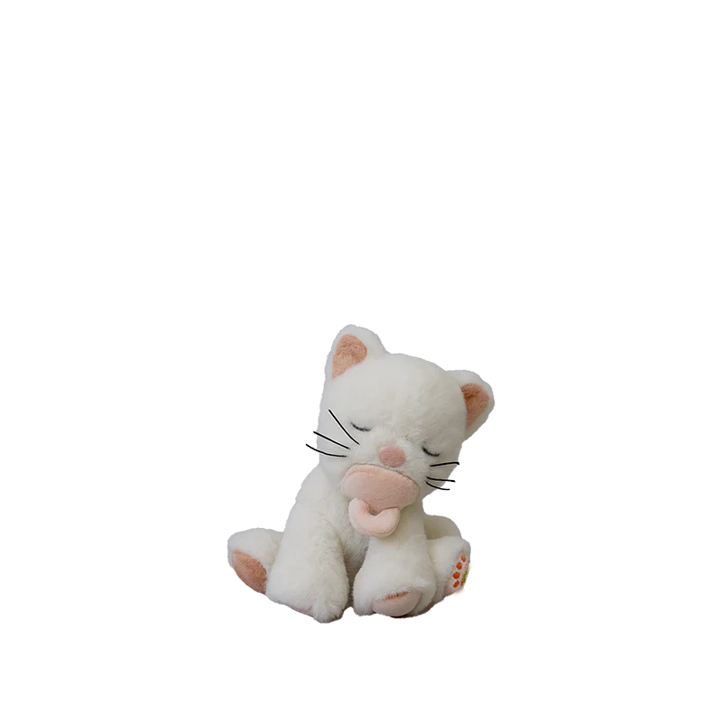 Binky Kitten Kiki