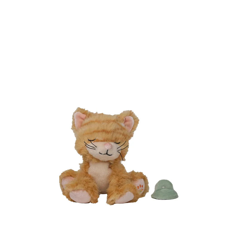 Binky Kitten Koda