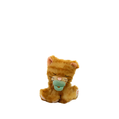 Binky Kitten Koda