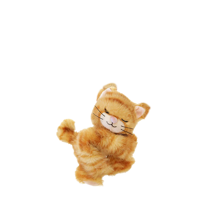 Binky Kitten Koda