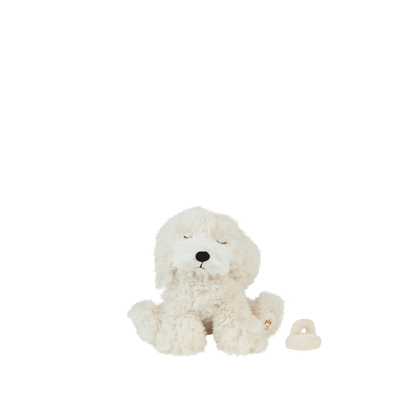 Binky Puppy Belle