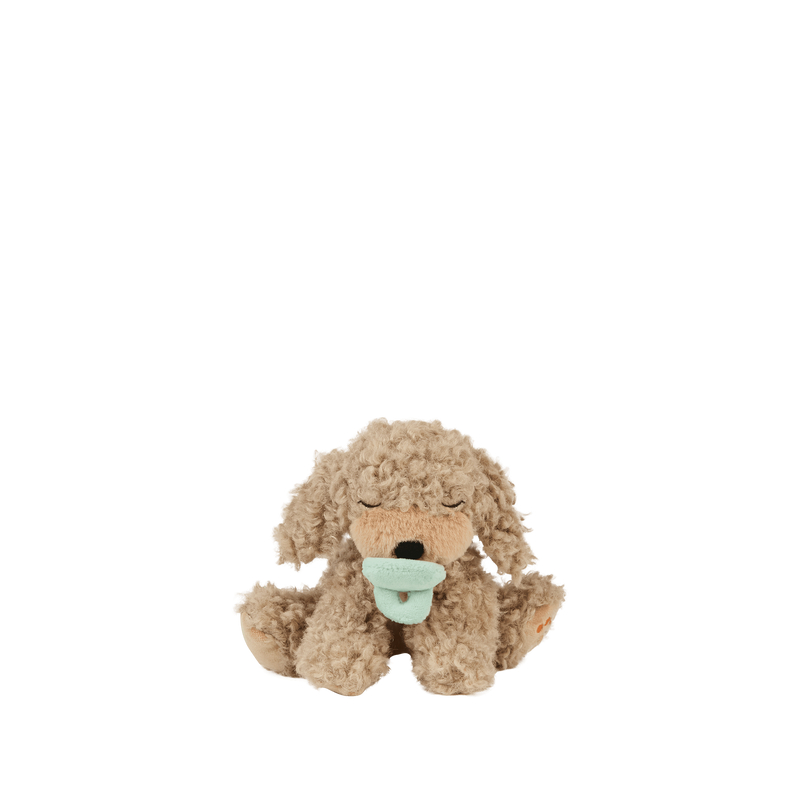 Binky Puppy Benny