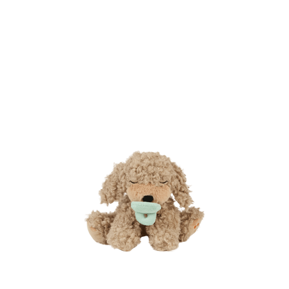 Binky Puppy Benny