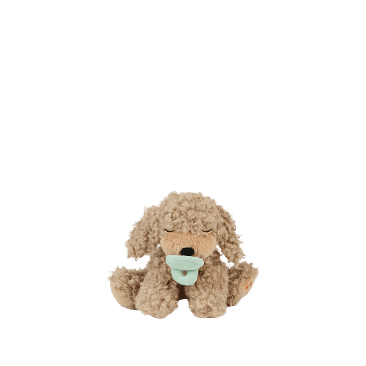 Binky Puppy Benny