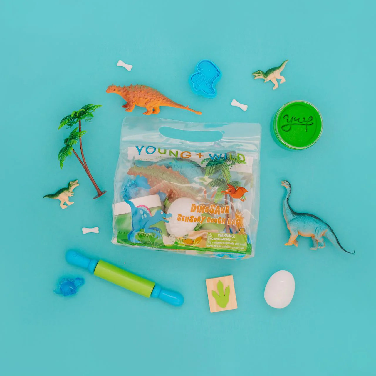 Sensory Dough Bag, Dinosaur