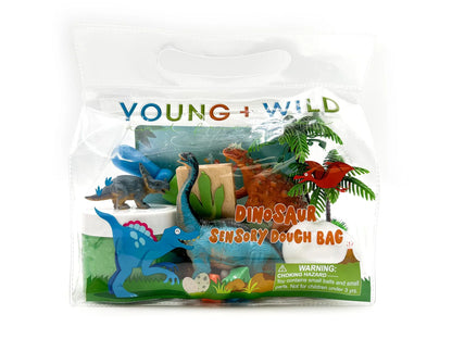 Sensory Dough Bag, Dinosaur